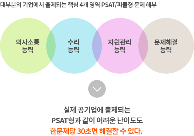 대부분의 기업에서 출제되는 핵심 4개 영역 PSAT/피듈형 문제 해부